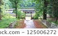 Torii at the end of the approach 125006272