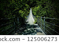 A slightly dark and recent suspension bridge 125006273