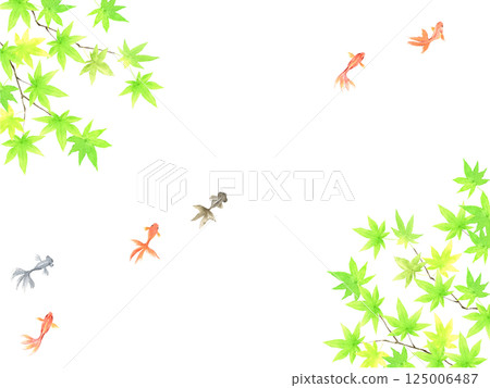 Watercolor goldfish swimming and green maple background 125006487