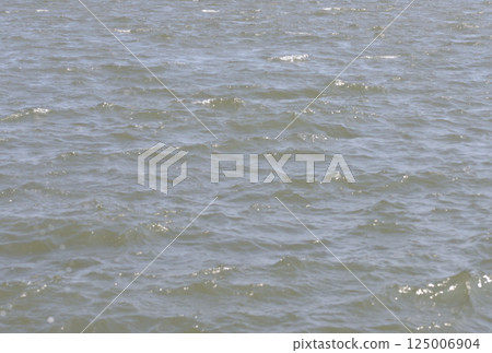 海洋 海洋 125006904