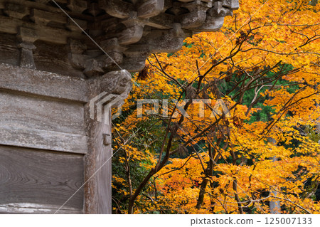 福井縣若狹小濱市的明通寺紅葉盛景拍攝 125007133