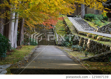 Photographing Myotsu-ji Temple in the height of autumn foliage in Wakasa Obama City, Fukui Prefecture Photographing Myotsu-ji Temple in the height of autumn foliage in Wakasa Obama City, Fukui Prefecture 125007139