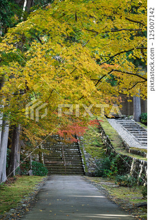 福井縣若狹小濱市的明通寺紅葉盛景拍攝 125007142