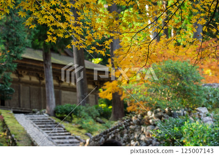 Photographing Myotsu-ji Temple in the height of autumn foliage in Wakasa Obama City, Fukui Prefecture Photographing Myotsu-ji Temple in the height of autumn foliage in Wakasa Obama City, Fukui Prefecture 125007143
