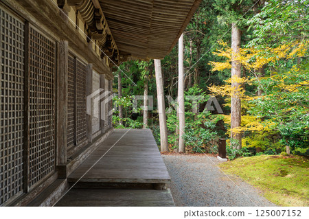 福井縣若狹小濱市的明通寺紅葉盛景拍攝 125007152