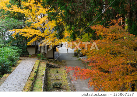 福井縣若狹小濱市的明通寺紅葉盛景拍攝 福井縣若狹小濱市的明通寺紅葉盛景拍攝 125007157