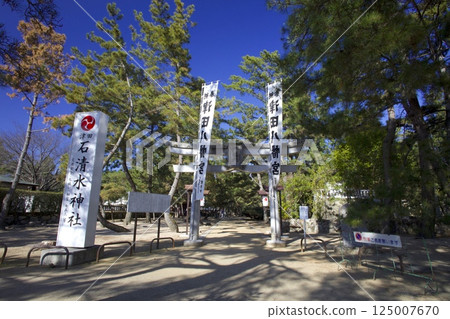 Tsuda no Matsubara 125007670