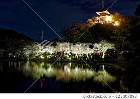 Illuminated cherry blossoms at night Illuminated cherry blossoms at night 125007858