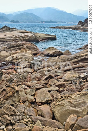 The surreptitious coast 125007905