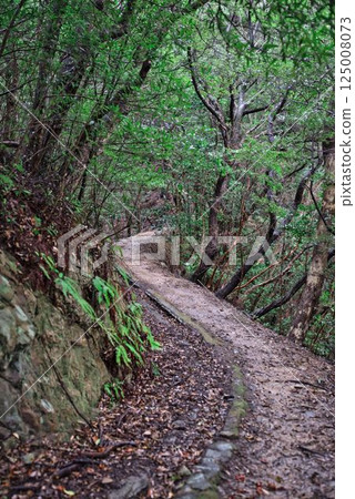 The road to Minokoshi Beach 125008073