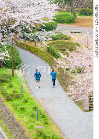 Running along the cherry blossom-lined streets - Spring jogging in Kanazawa 125008088