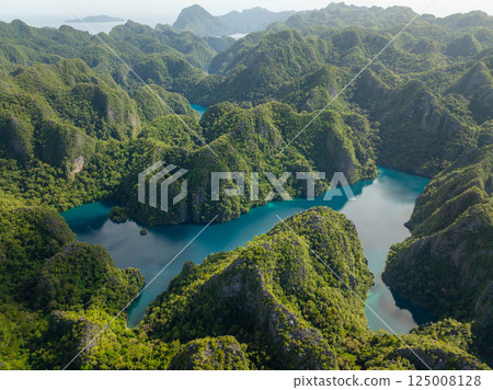 Crystal clear freshwater lake in Coron. Kayangan Lake. Palawan, Philippines. Crystal clear freshwater lake in Coron. Kayangan Lake. Palawan, Philippines. 125008128