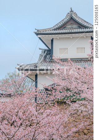 白牆上盛開的花朵－金澤城的春天景色 125008165