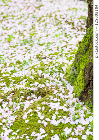 Green and pink contrast - Cherry blossom carpet 125008184