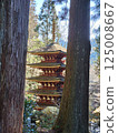 A five-story pagoda surrounded by trees 125008667