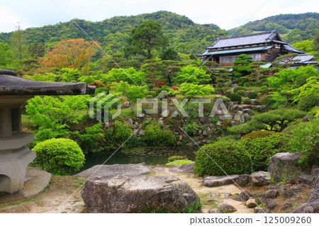 毛利家的庭園和本宅邸的新鮮綠意（防府市） 125009260