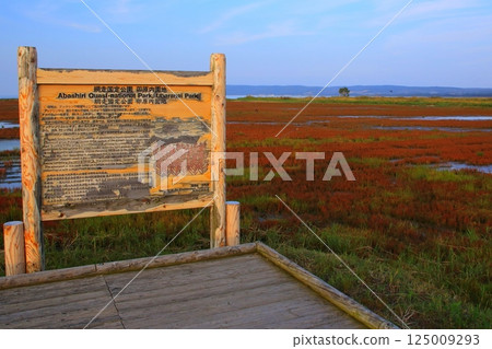 Lake Notoro coral grass (Abashiri City) 125009293