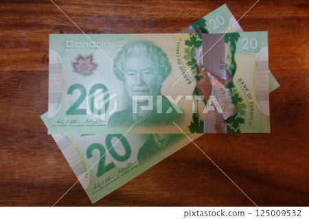 Canadian dollar bills 20 dollars and 5 dollars Canadian dollar bills 20 dollars and 5 dollars 125009532