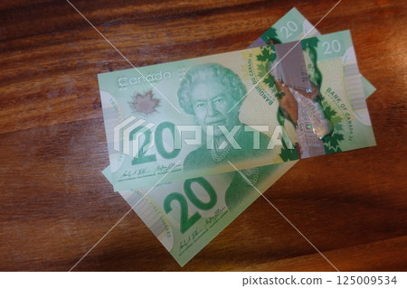 Canadian dollar bills 20 dollars and 5 dollars Canadian dollar bills 20 dollars and 5 dollars 125009534