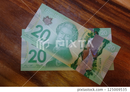 Canadian dollar bills 20 dollars and 5 dollars Canadian dollar bills 20 dollars and 5 dollars 125009535