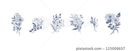 Line drawing of plants. Vector illustration of plants and flowers. Decorative frame of plants. 125009837