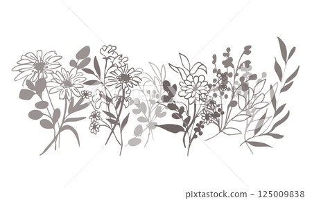 植物的線條畫。植物和花卉的向量插圖。植物裝飾框架。 125009838