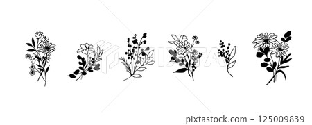 Line drawing of plants. Vector illustration of plants and flowers. Decorative frame of plants. 125009839