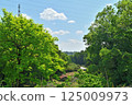 The fragrant greenery of early summer in a rural village 125009973
