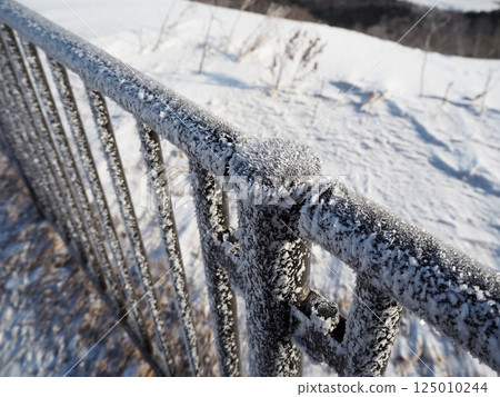 A cold and frosty fence 125010244