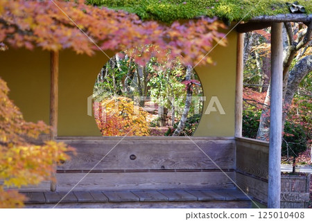 Autumn leaves of a round window Autumn leaves of a round window 125010408