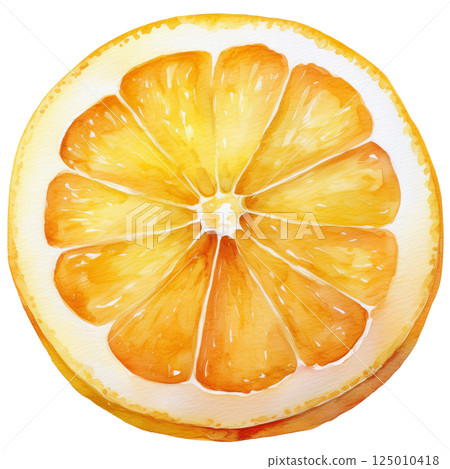 Cross section of a lemon cut in half, watercolor illustration (JPEG/PNG) 125010418