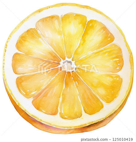 Cross section of a lemon cut in half, watercolor illustration (JPEG/PNG) 125010419