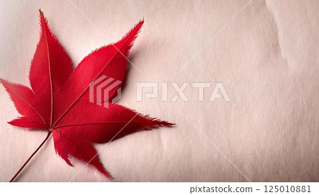 Background material with the image of bright red maples, autumn leaves, and autumn 125010881