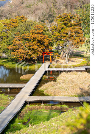 "Itsukushima Wetlands Park" View of Itsukushima Shrine (Nakai Town, Kanagawa Prefecture) "Itsukushima Wetlands Park" View of Itsukushima Shrine (Nakai Town, Kanagawa Prefecture) 125011226