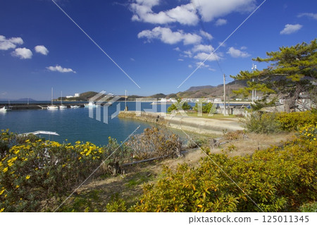 Shodoshima, Ikeda Port (from near the Ikeda stand) 125011345
