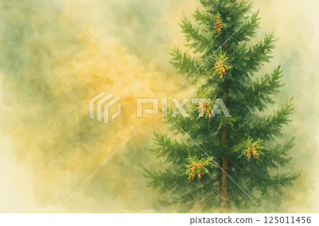 雪松林和雪松花粉影像 125011456