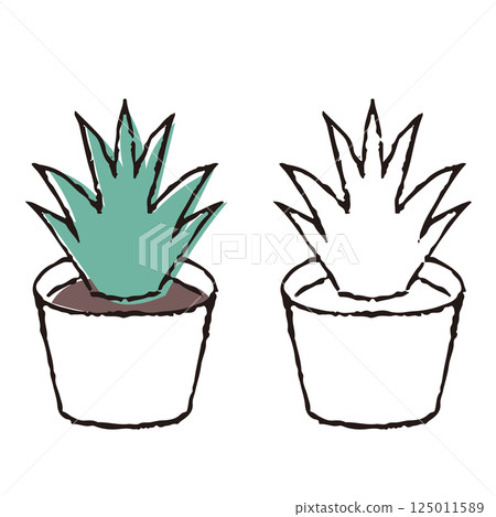 鋼筆畫花盆 125011589