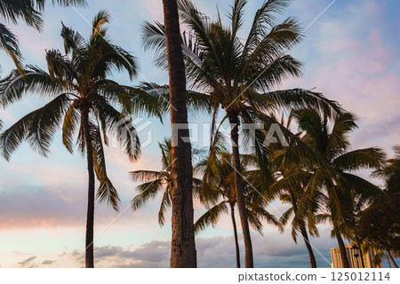 Tall palm trees stand silhouetted against a vibrant sunset sky of pink, orange, and blue, with a high rise building in the background near Waikiki Beach. 125012114
