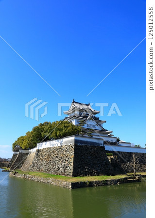 岸和田城堡 岸和田城堡 125012558