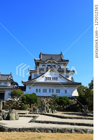 Kishiwada castle Kishiwada castle 125012565