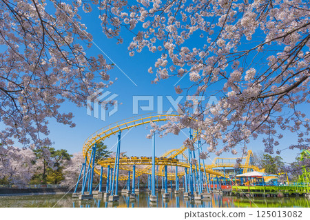 櫻花遊樂園和盛開花園公園 櫻花遊樂園和盛開花園公園 125013082