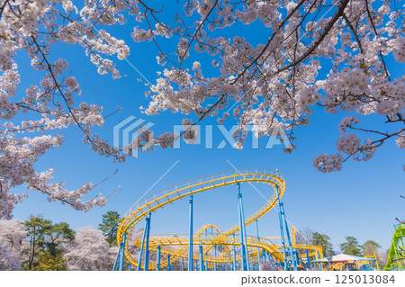 櫻花遊樂園和盛開花園公園 125013084