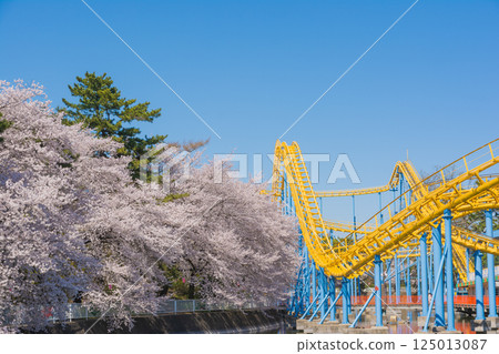 櫻花遊樂園和盛開花園公園 125013087