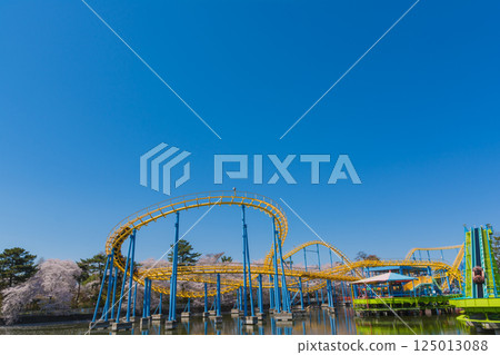 Amusement park of cherry blossoms and flower garden park of full bloom 125013088