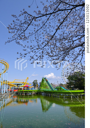 櫻花遊樂園和盛開花園公園 125013092
