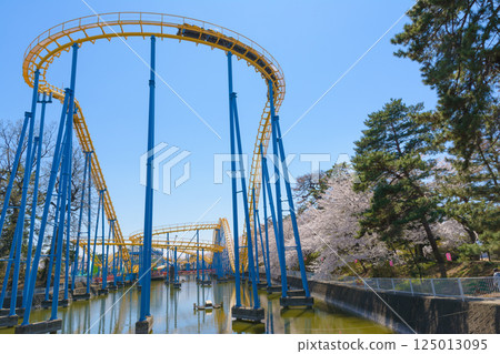 Amusement park of cherry blossoms and flower garden park of full bloom 125013095