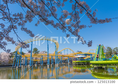櫻花遊樂園和盛開花園公園 櫻花遊樂園和盛開花園公園 125013100