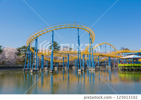 Amusement park of cherry blossoms and flower garden park of full bloom 125013102