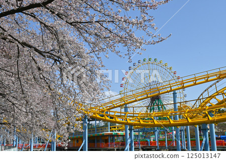 櫻花遊樂園和盛開花園公園 125013147