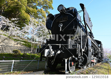 D51 No. 499 Tsukairaku Park Tsu City, Mie Prefecture 125013318